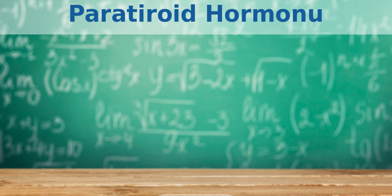 Paratiroid Hormonu (PTH): Nedir ve Ne İşe Yarar?