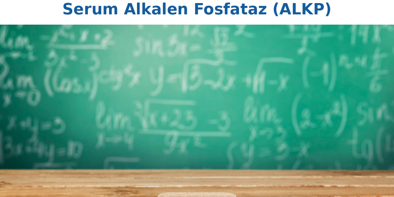 Serum Alkalen Fosfataz (ALKP) Seviyesi